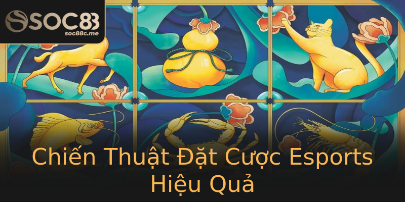 Chiến Thuật Đặt Cược Esports Hiệu Quả Chiến Thuật Đặt Cược Esports Hiệu Quả