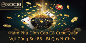 Kham Pha Inh Cao Ca Cuoc Quan Vot Cung Soc88 Bi Quyet Chien Thang Trong The Gioi The Thao