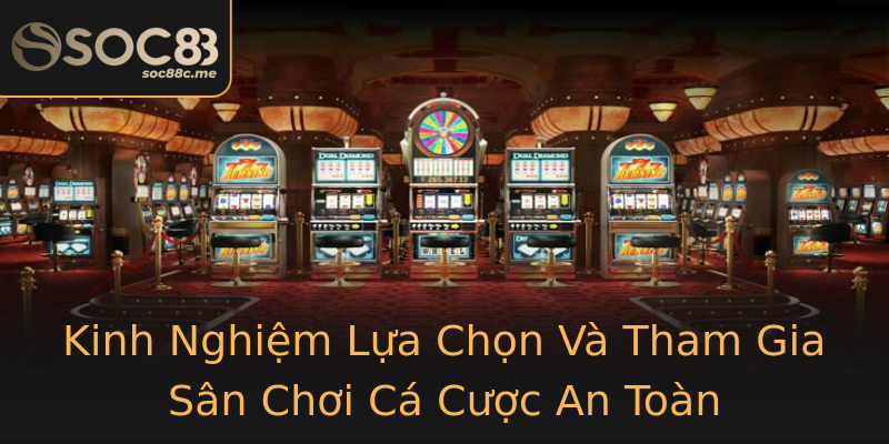 Kinh Nghiệm Lựa Chọn Và Tham Gia Sân Chơi Cá Cược An Toàn Kinh Nghiệm Lựa Chọn Và Tham Gia Sân Chơi Cá Cược An Toàn
