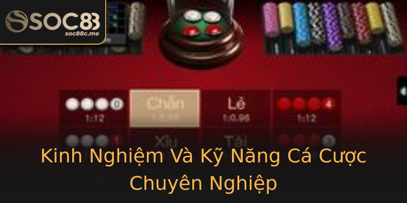 Kinh Nghiệm Và Kỹ Năng Cá Cược Chuyên Nghiệp Kinh Nghiệm Và Kỹ Năng Cá Cược Chuyên Nghiệp