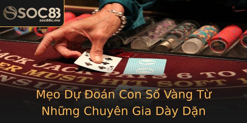 Mẹo Dự Đoán Con Số Vàng Từ Những Chuyên Gia Dày Dặn Mẹo Dự Đoán Con Số Vàng Từ Những Chuyên Gia Dày Dặn