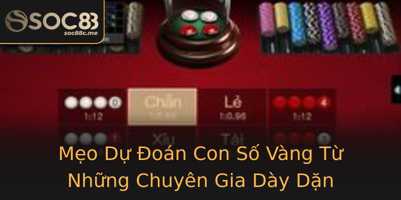 Mẹo Dự Đoán Con Số Vàng Từ Những Chuyên Gia Dày Dặn Mẹo Dự Đoán Con Số Vàng Từ Những Chuyên Gia Dày Dặn