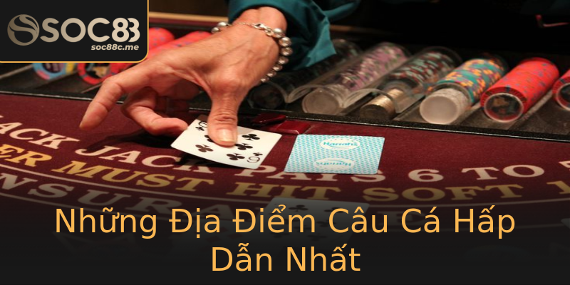 Những Địa Điểm Câu Cá Hấp Dẫn Nhất Những Địa Điểm Câu Cá Hấp Dẫn Nhất